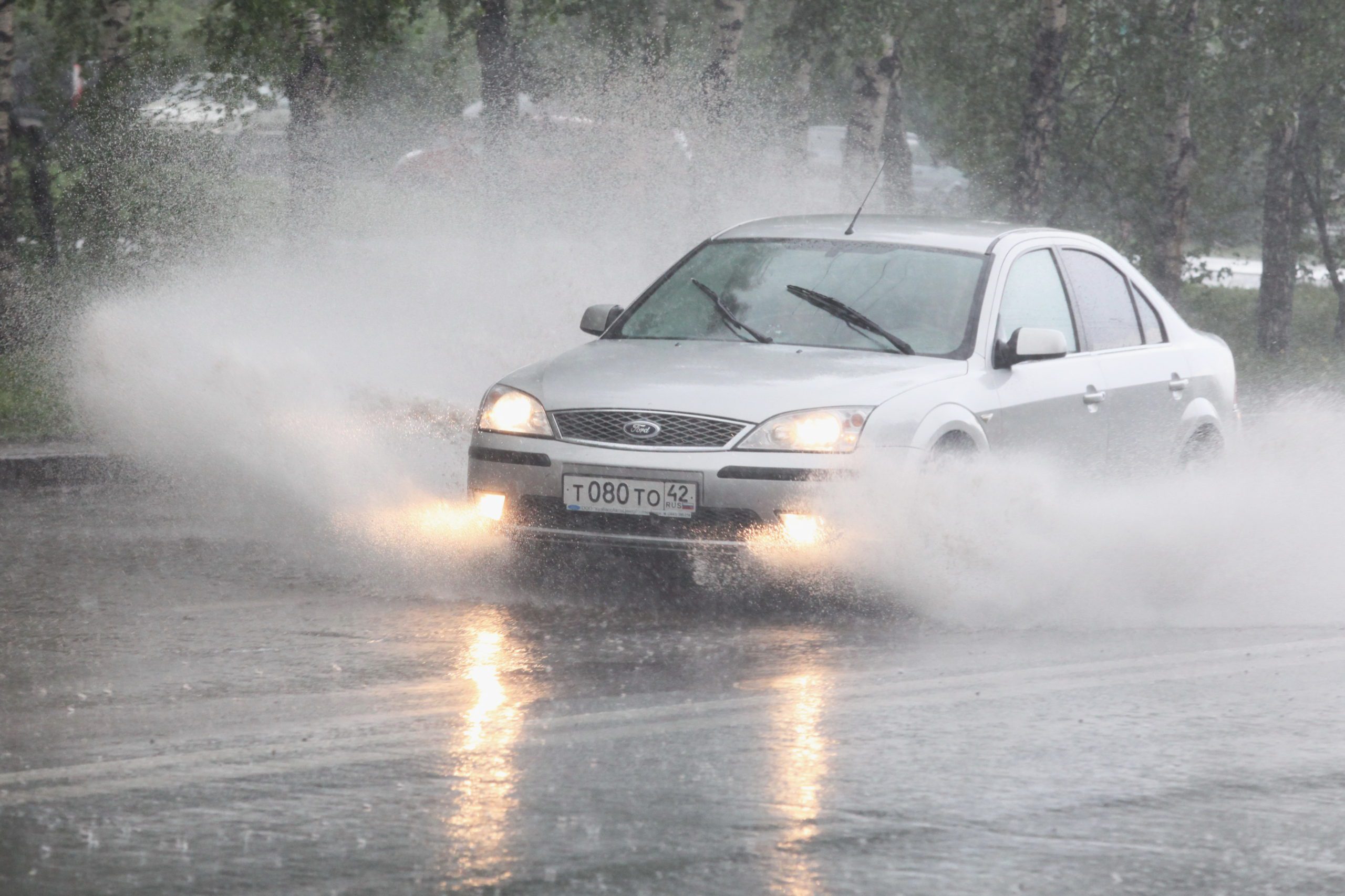 Дожди, грозы и до +30: синоптики рассказали о погоде в Кузбассе
