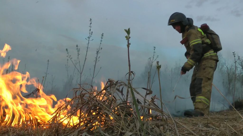 В Кузбассе введут особый противопожарный режим