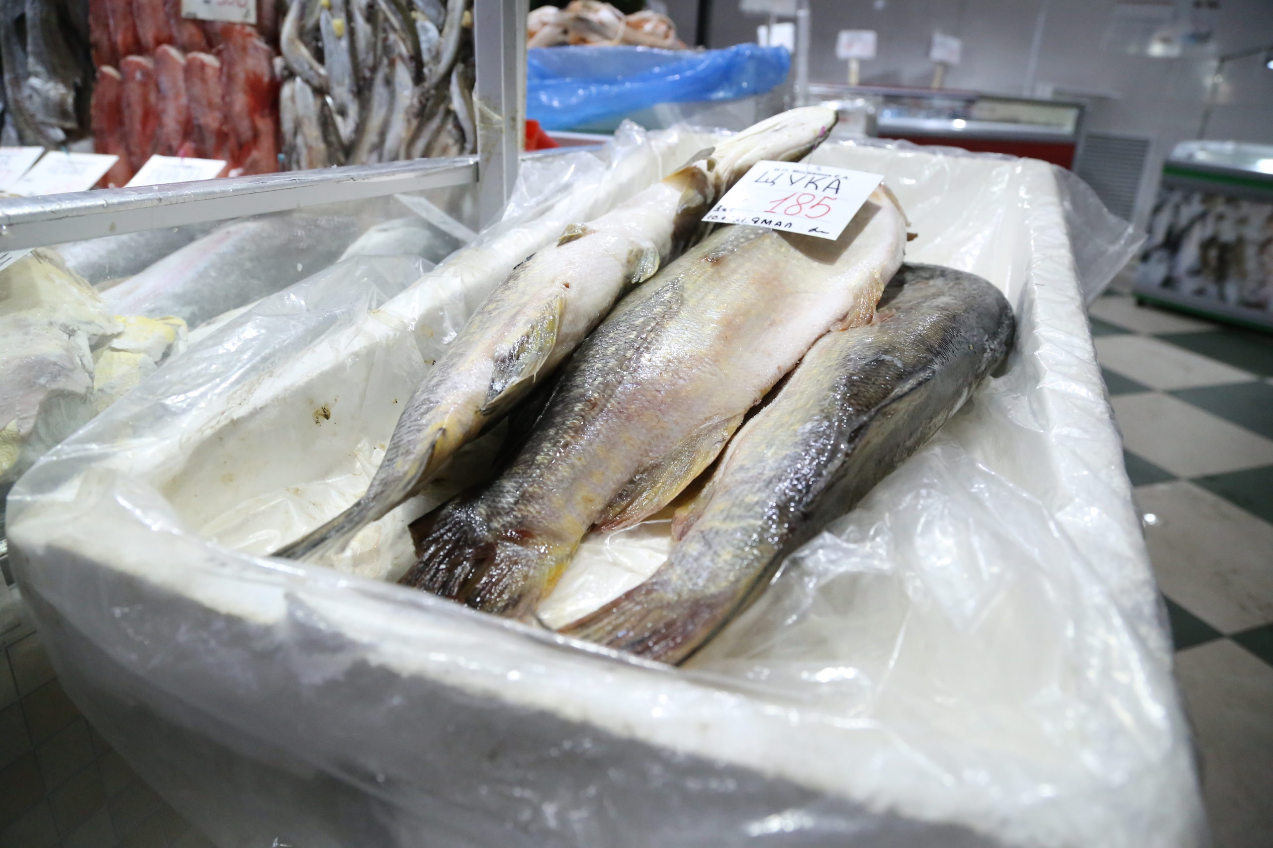 В Кузбассе увеличится потребление отечественной рыбной продукции