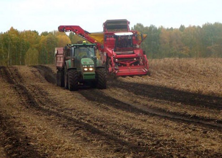 Минсельхоз России планирует создать реестр земель для рисоводства