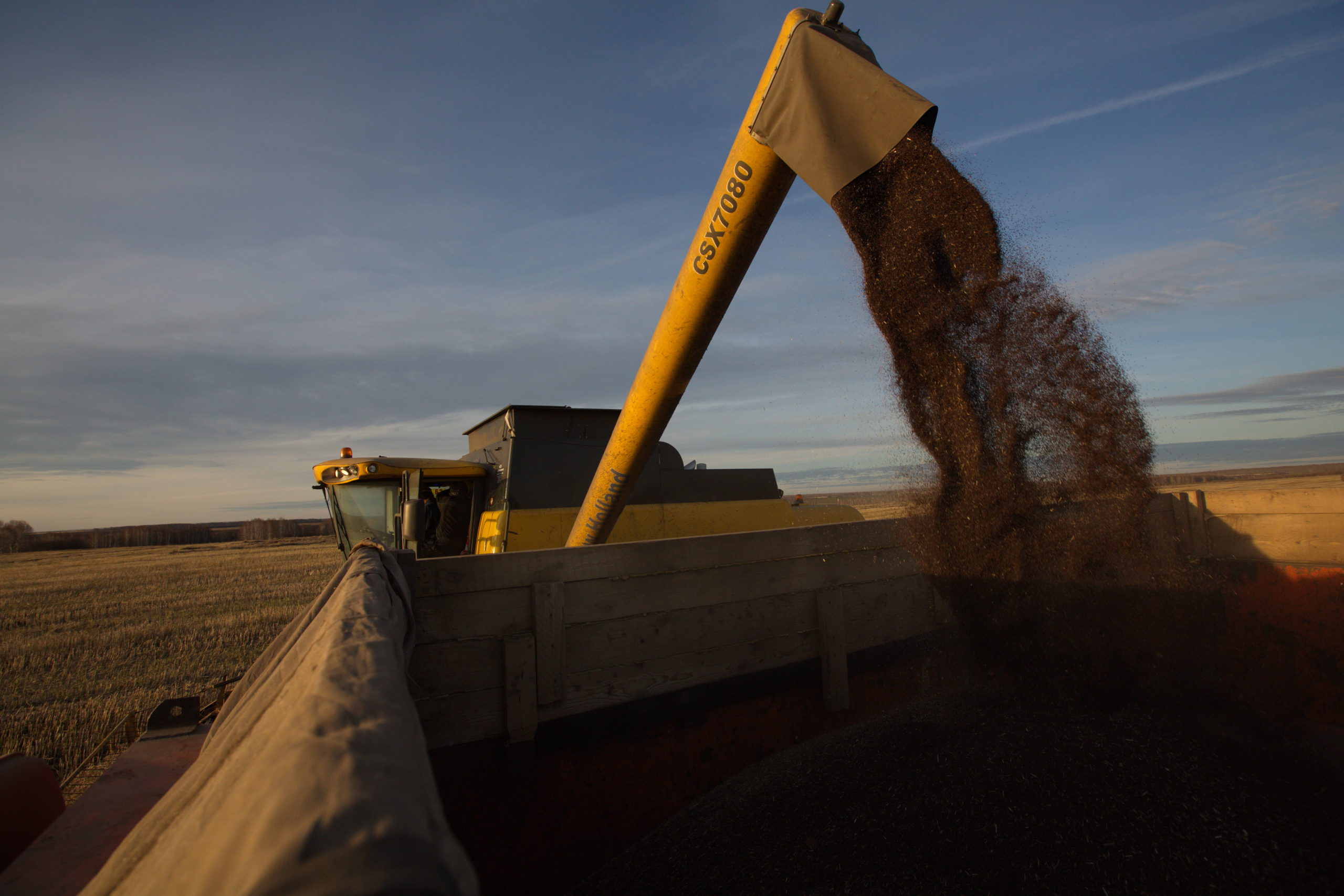 Евросоюз вводит пошлины на зерновые из России, но последствия могут быть неоднозначными