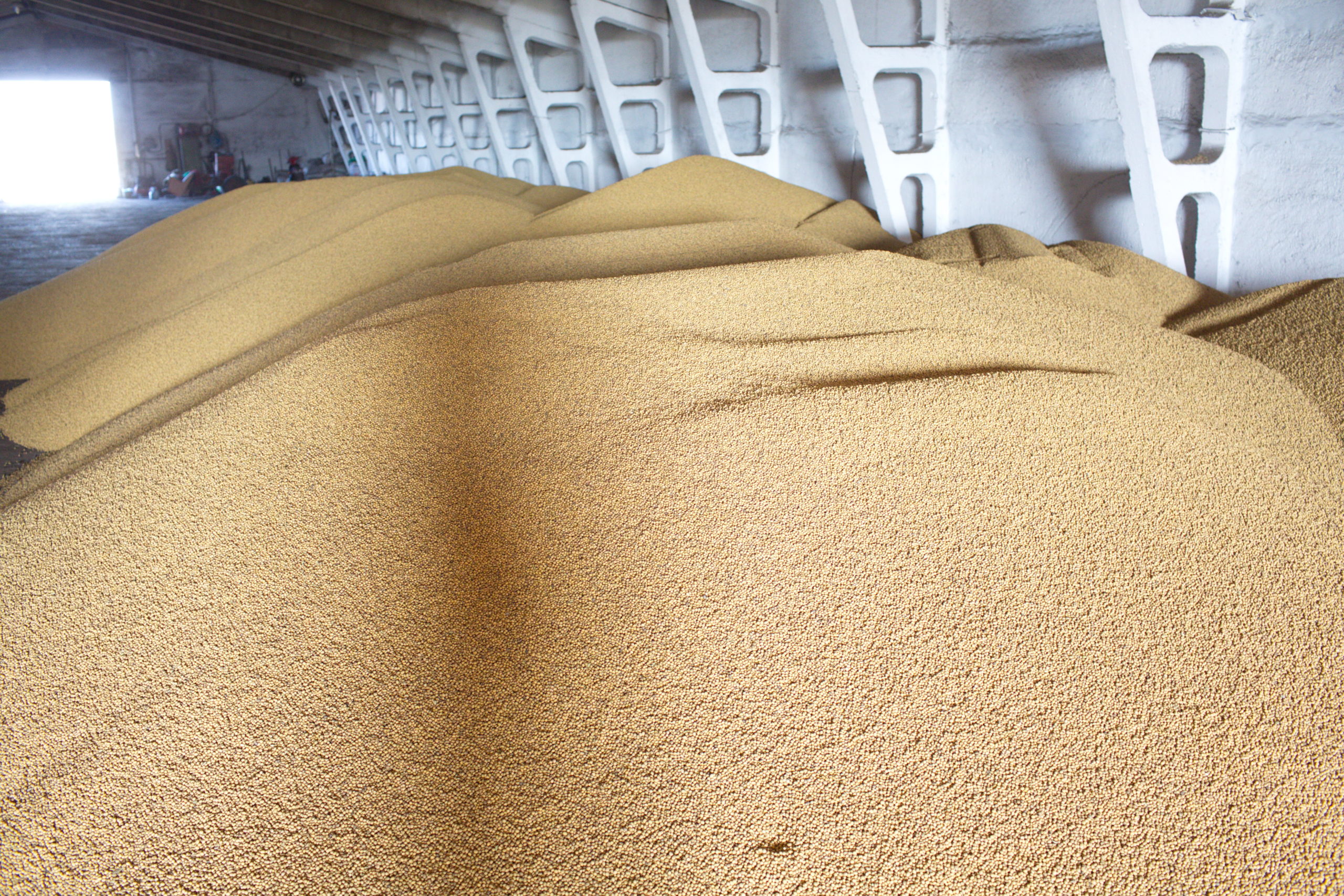 Из Кузбасса стали вывозить больше зерна