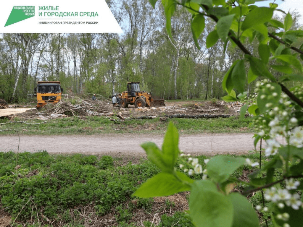 В Кемерове начался ремонт сквера "Берёзовая роща"