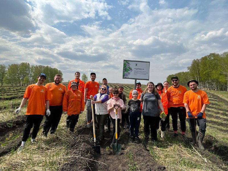 В Новокузнецке высадили 22 тысячи деревьев