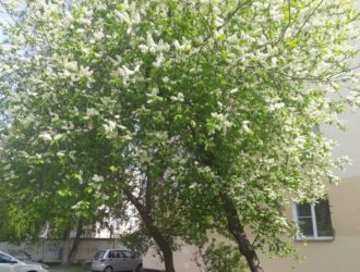 Кузбасские синоптики дали прогноз на день грядущий, 29 мая