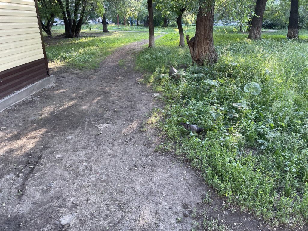 Новокузнечане жалуются на разрушенные тротуары в центре города и предлагают мэру заняться этой проблемой