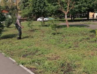Крапиву приняли за коноплю: в Новокузнецке скосили газон по ложной тревоге