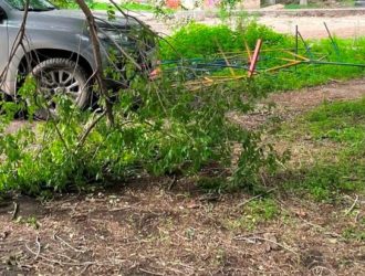 В Киселевске упавшая ветка травмировала 7-летнего ребенка