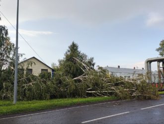 Унесённые крыши и поваленные деревья: на Кузбасс обрушился ураган