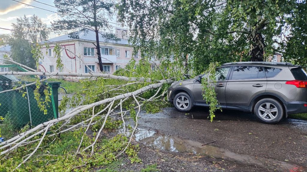 Унесённые крыши и поваленные деревья: на Кузбасс обрушился ураган