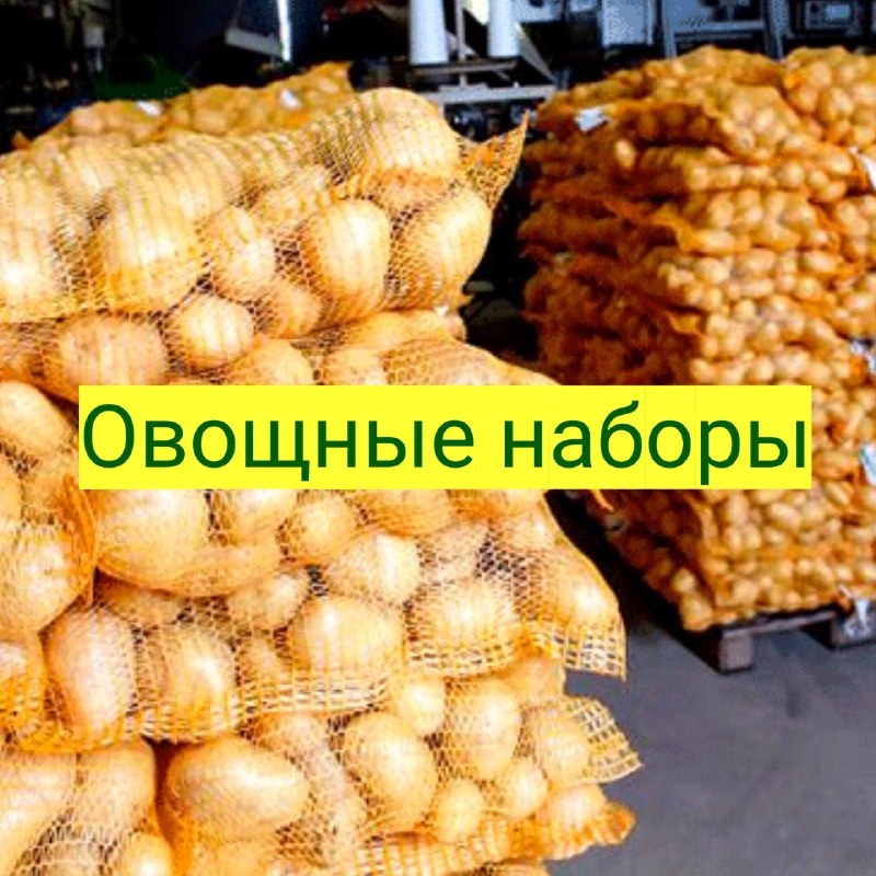 В Новокузнецке стартовала благотворительная акция по выдаче овощных наборов