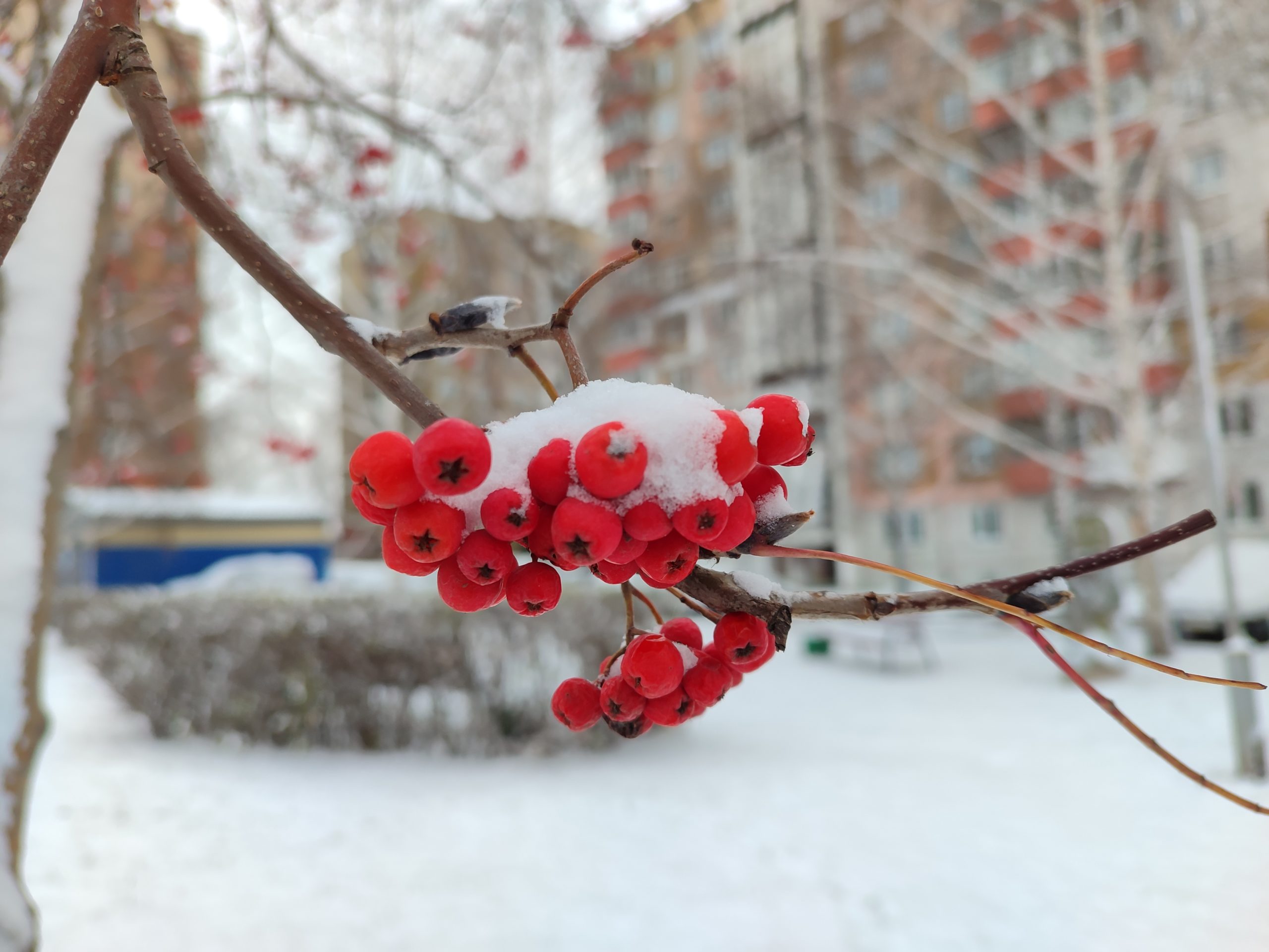Холод и снег: Синоптики рассказали о погоде в Кузбассе на выходных