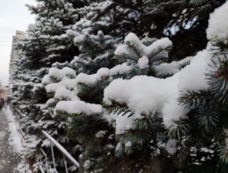 Кузбасс ждут ночные морозы и снег