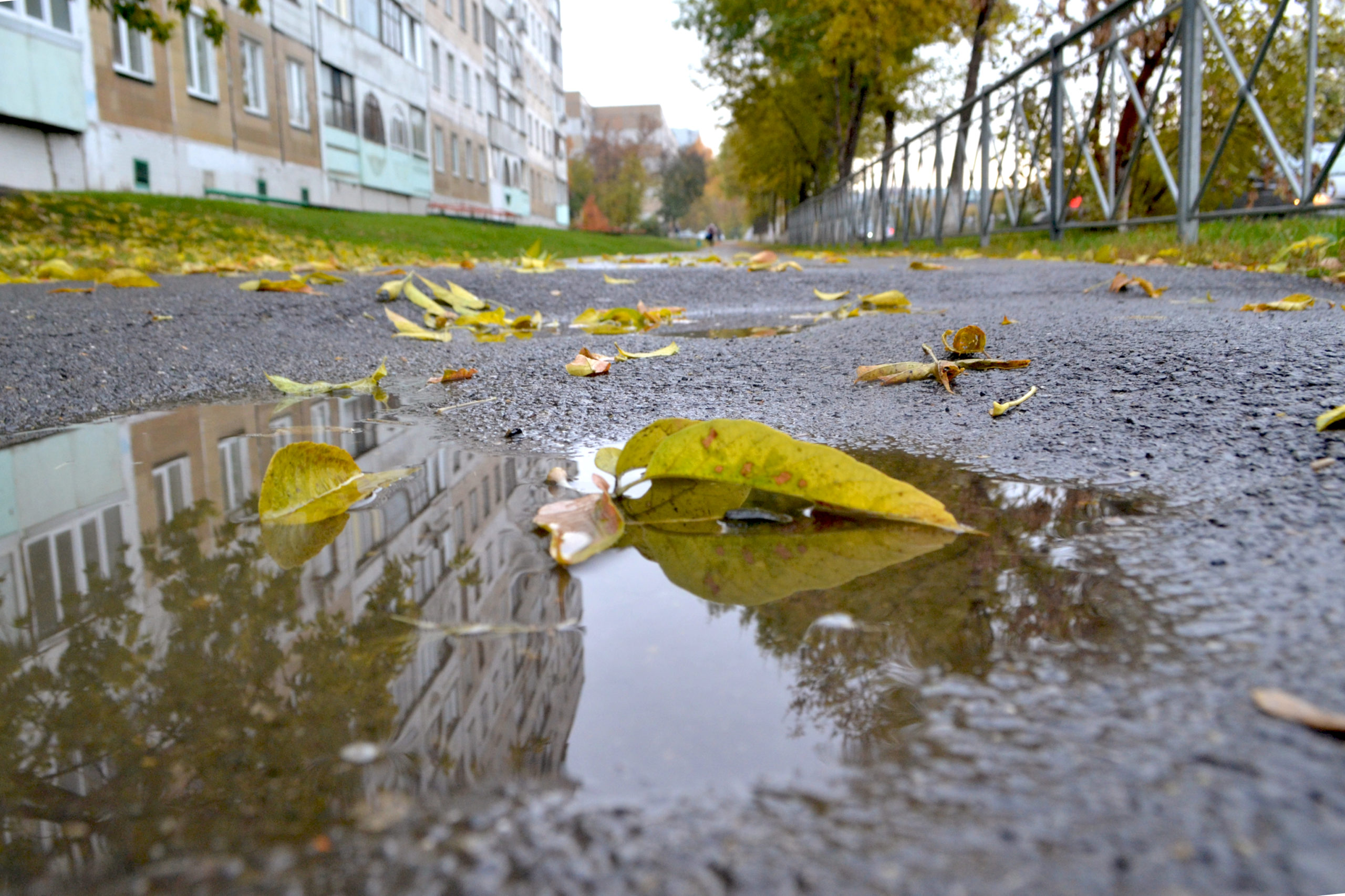 В Кузбасс надвигаются сильные ливни