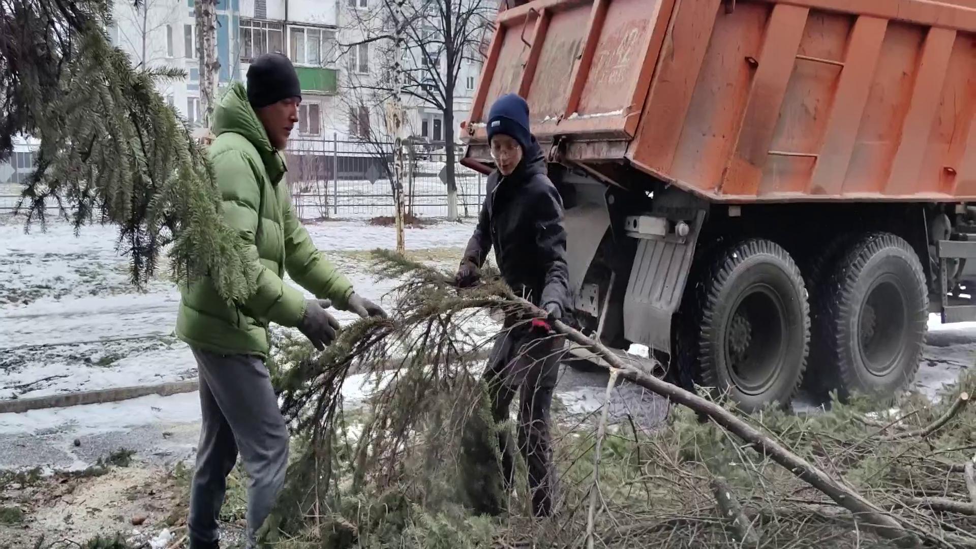 В Новокузнецке волонтеры помогают с уборкой поваленных деревьев