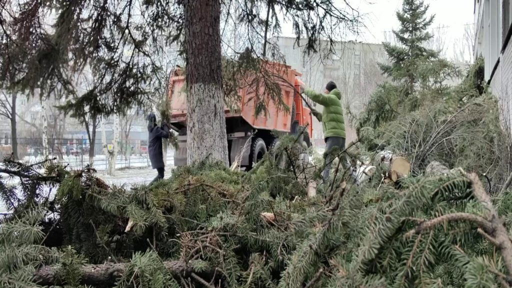 В Новокузнецке волонтеры помогают с уборкой поваленных деревьев