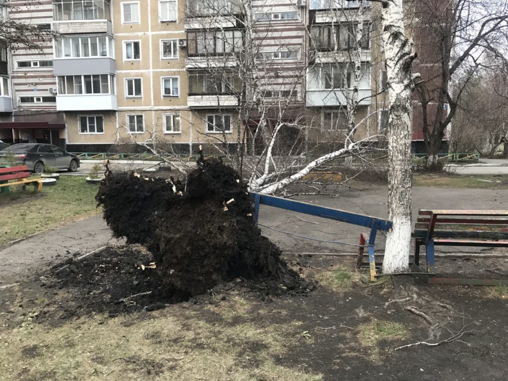 В Новокузнецке перебои с электричеством и повалены деревья из-за сильного ветра