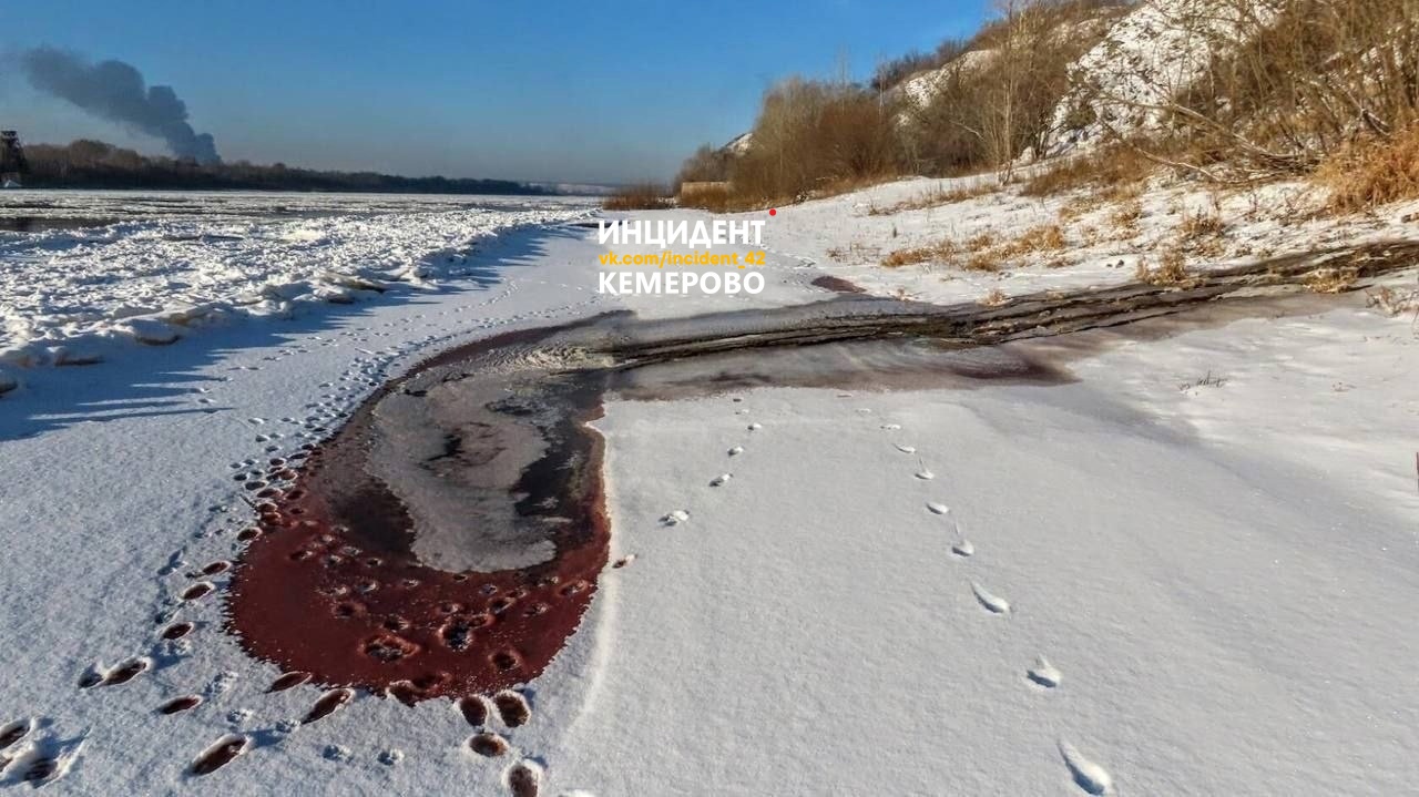 Следком разбирается в причинах появления красной воды в Томи  