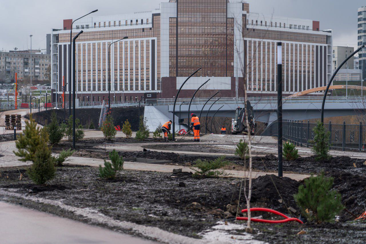 На Искитимской набережной в Кемерове высадили более 100 деревьев