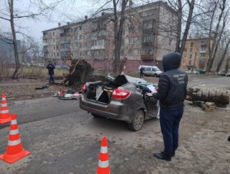 Следком возбудил уголовное дело по факту гибели людей под упавшим деревом