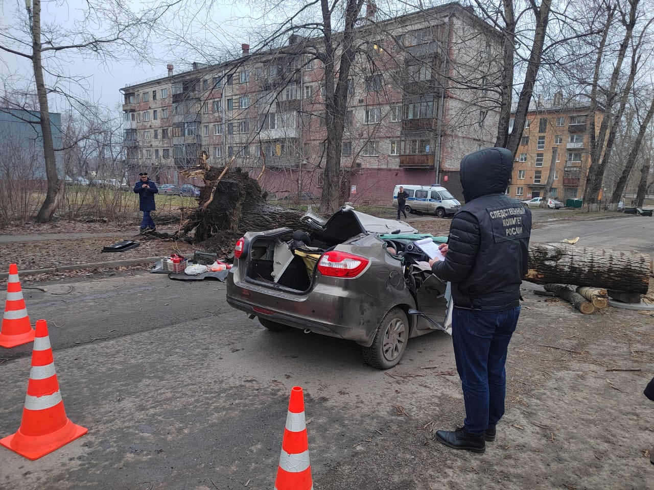 Следком возбудил уголовное дело по факту гибели людей под упавшим деревом