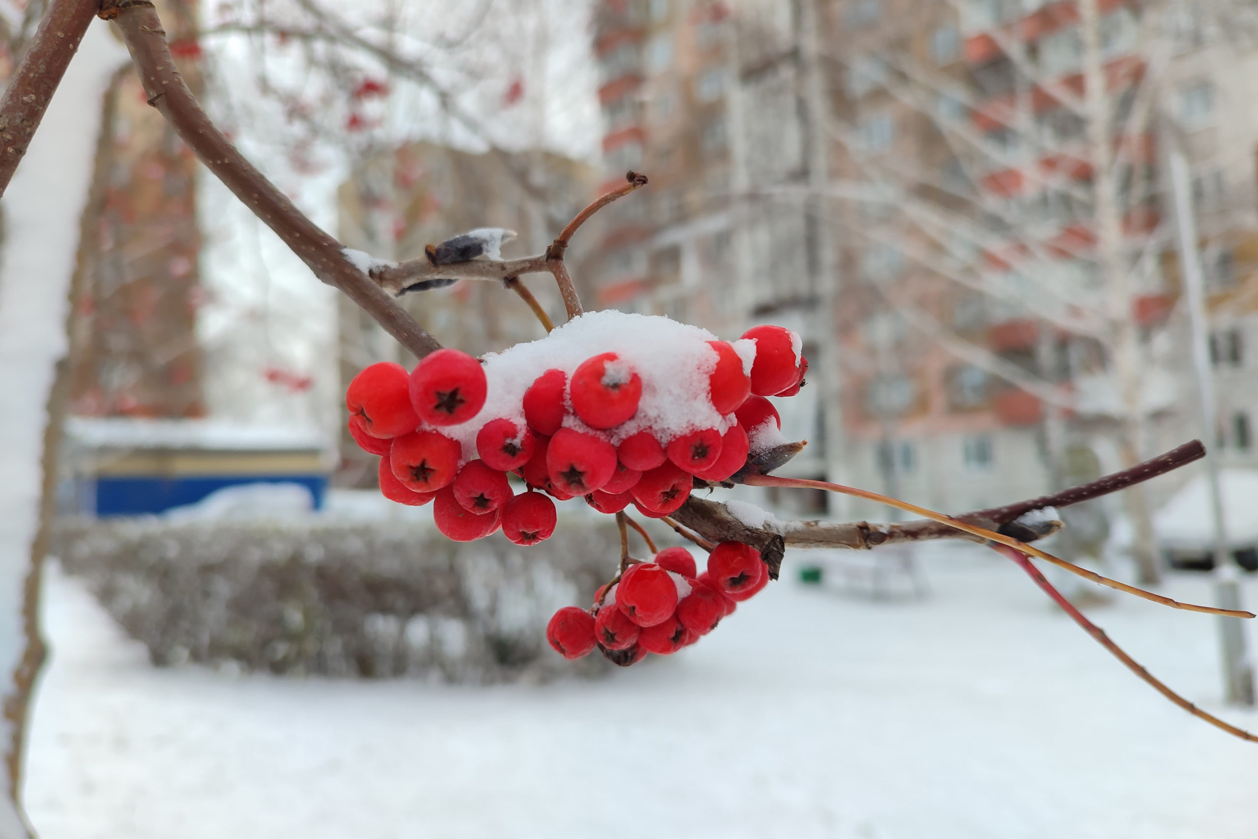 Морозы постепенно уходят из Кузбасса