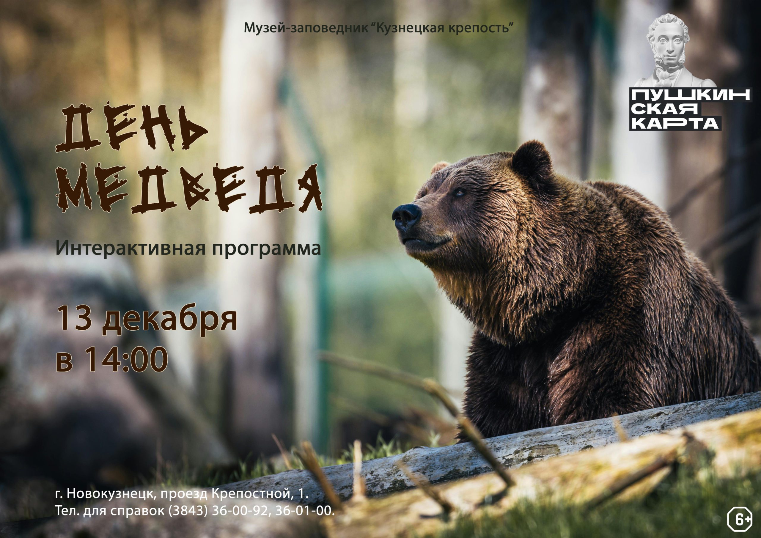 Об опасном и особо почитаемом животном: в Новокузнецке пройдет интерактивная программа «День медведя»
