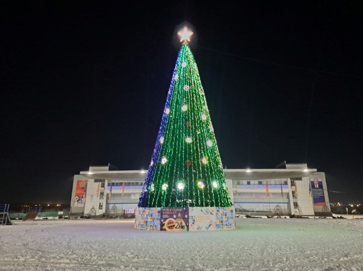С главной новогодней ели в Ленинск-Кузнецком украли гирлянду