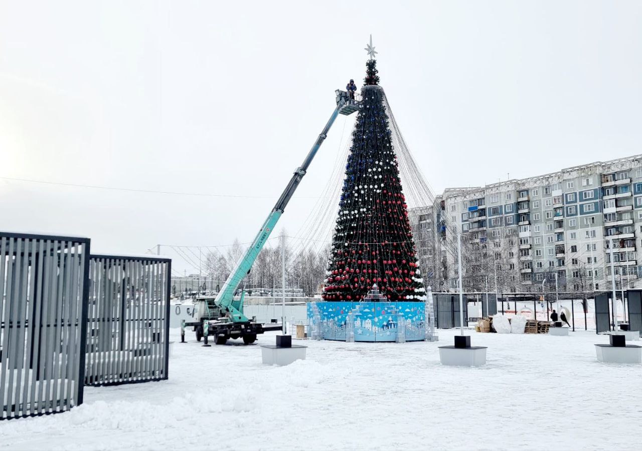 Жителей Новоильинки в Новокузнецке не оставили без новогодней елки