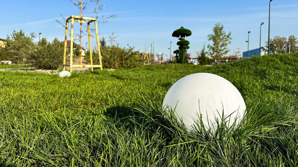 В Кузбассе по уникальной технологии выращивают газон для сибирских условий