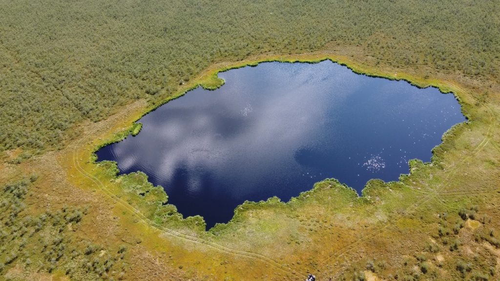 В Красную книгу Кузбасса внесут сенсационные сведения