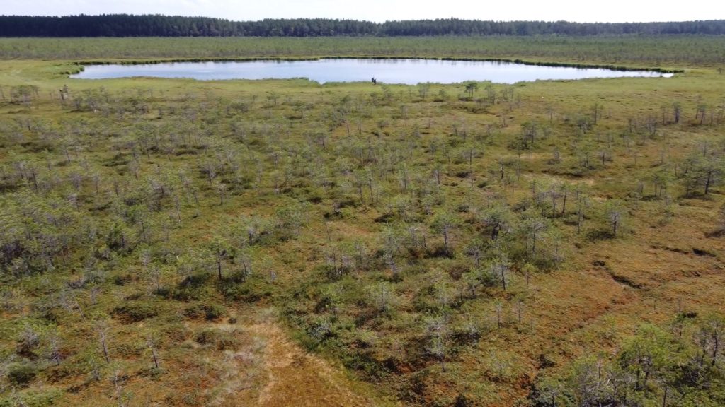 В Красную книгу Кузбасса внесут сенсационные сведения