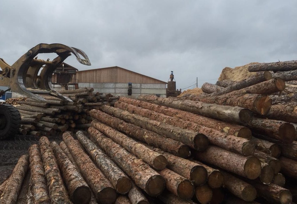 В Кузбассе возбуждено уголовное дело о контрабанде леса на сумму свыше 6,6 млн рублей