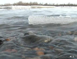 В Новокузнецке вышедшие из берегов реки подтопили дома