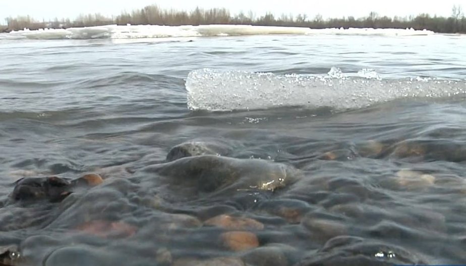Прокуратура Кемеровской области устанавливает причину загрязнения реки в Кузедееве