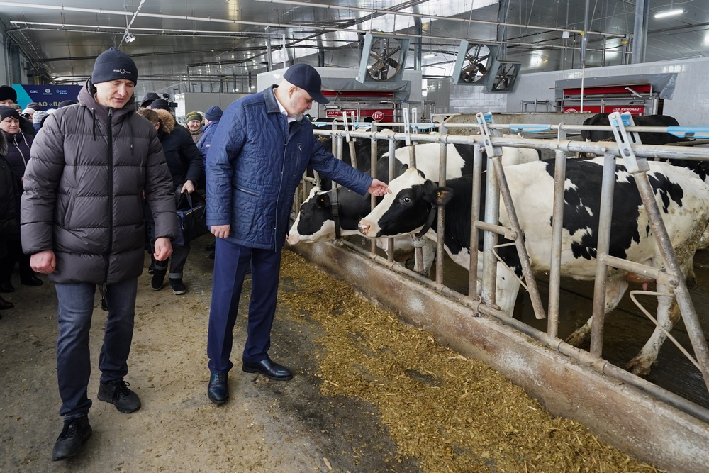 Сергей Цивилев: Кузбасс наращивает объемы молочной продукции