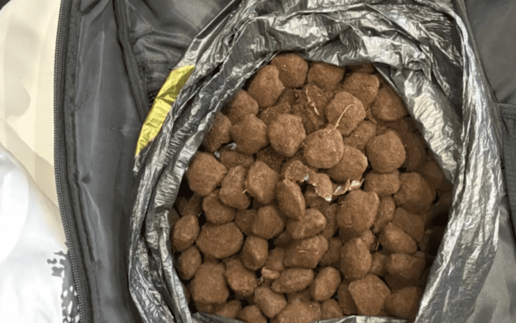 В Новокузнецке задержали наркокурьера с 80 граммами мефедрона