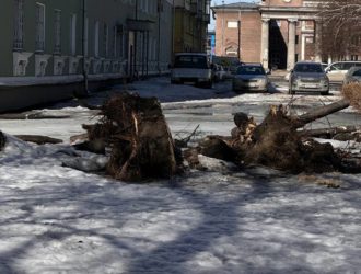 Новокузнечане жалуются на безобразный вид парка за площадью Маяковского