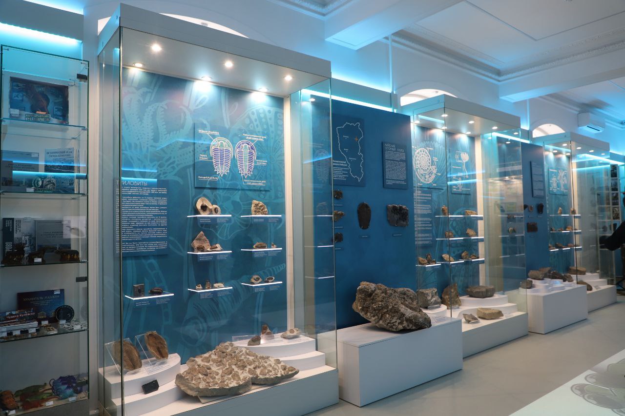 В Кузбасском государственном краеведческом музее открылась выставка «Обитатели древних морей»