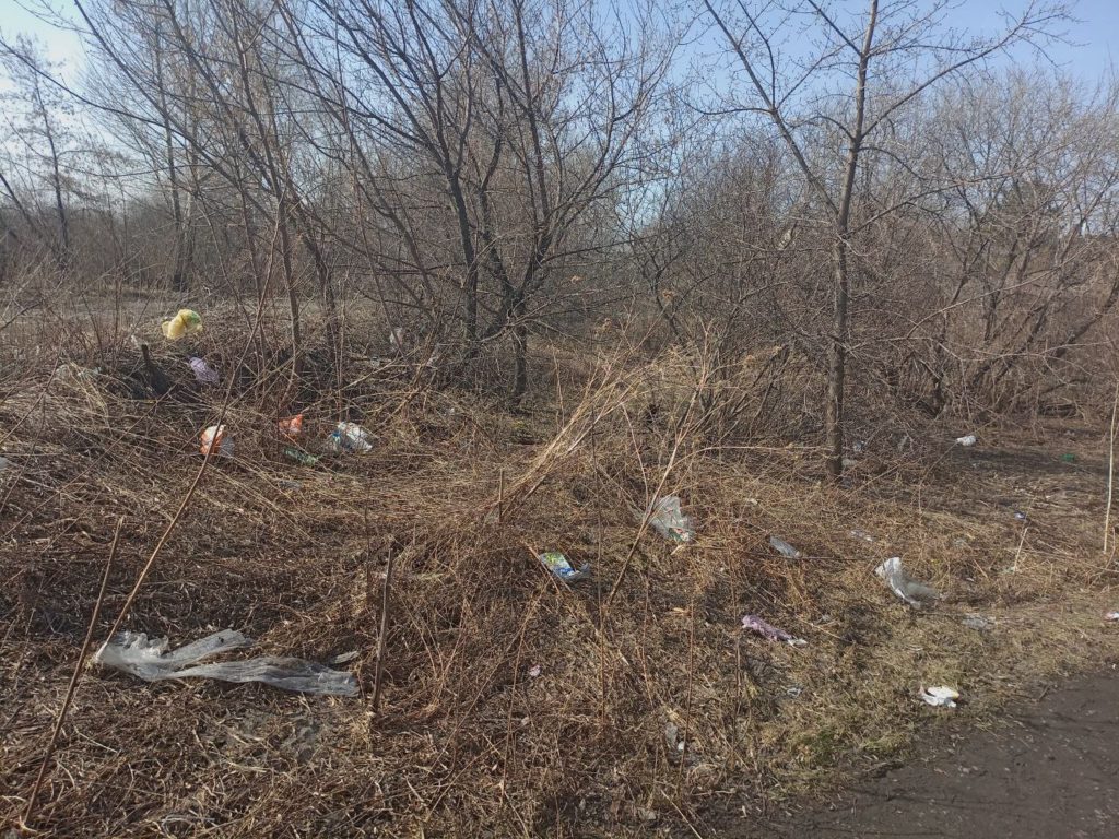 Жители Новокузнецка жалуются, что город завален мусором