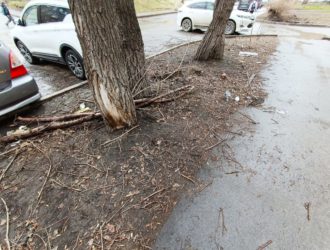 Новокузнечане негодуют по поводу завалов мусора у городской стоматологии