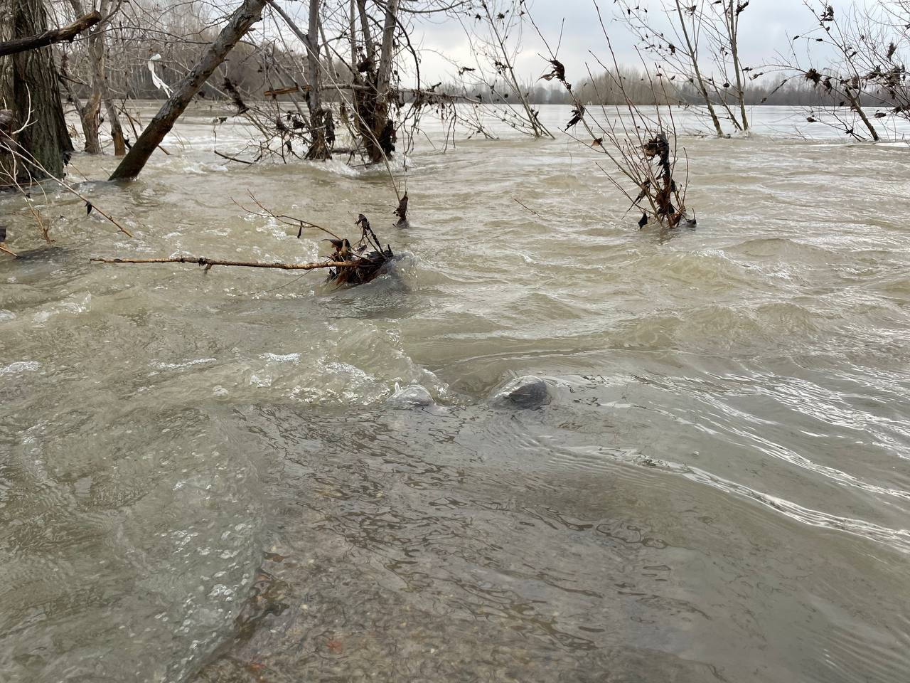 Вода прибыла: в Усть-Кабырзе затоплены 44 домовладения