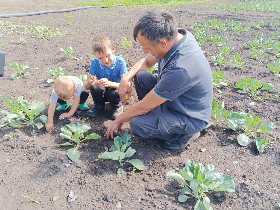 В Кузбассе действует программа «Семейное агропредпринимательство»