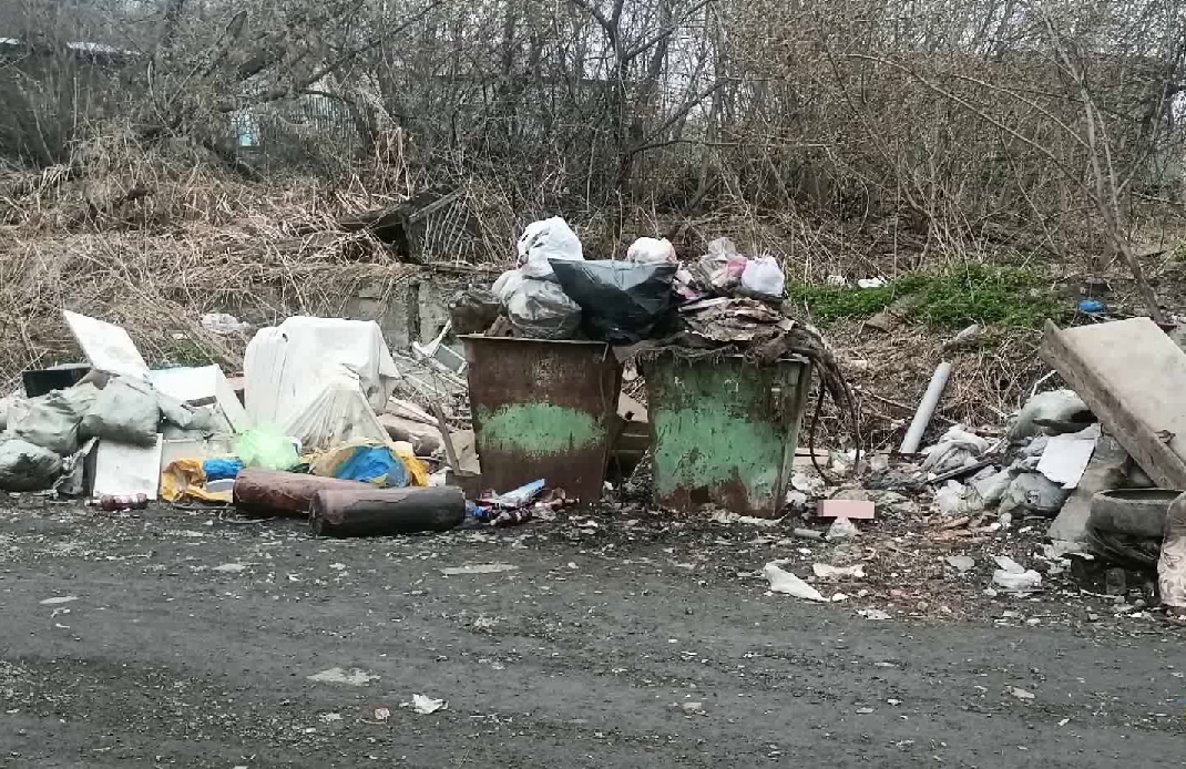 Новокузнечане жалуются на горы мусора по соседству с домами