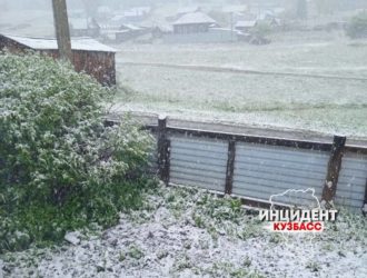 В последние дни весны в Кузбассе выпал снег