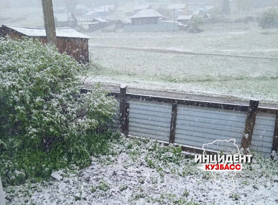 В последние дни весны в Кузбассе выпал снег