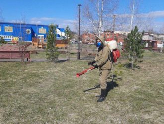 В Анжеро-Судженске обрабатывают парки от клещей