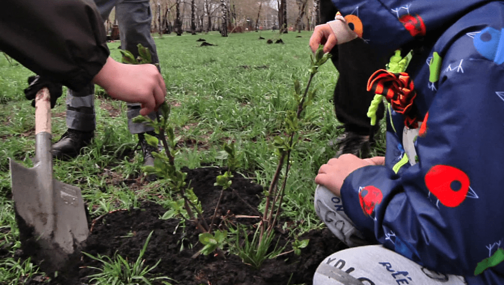 В Новокузнецке ко Дню Победы преобразили один из скверов