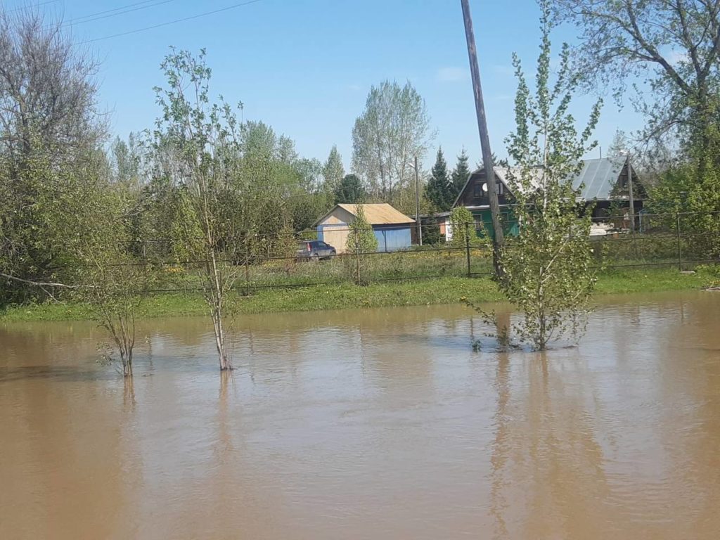 Верхняя Терсь и Томь подтопили огороды в посёлке Новокузнецкого округа