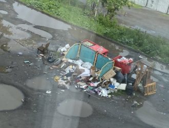 Кемеровчане возмущены городской свалкой
